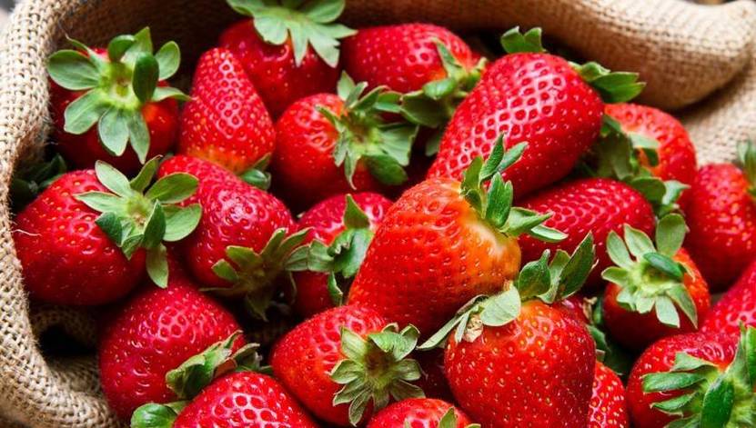 草莓季节是哪几个月（草莓季节多久？）
