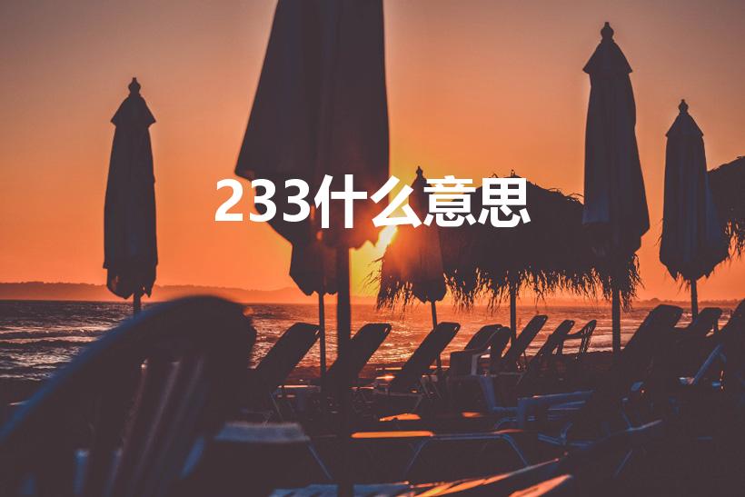 233什么意思（233是什么意思）