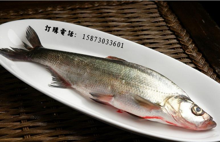 刁子鱼是什么鱼（品味中国美食文化）