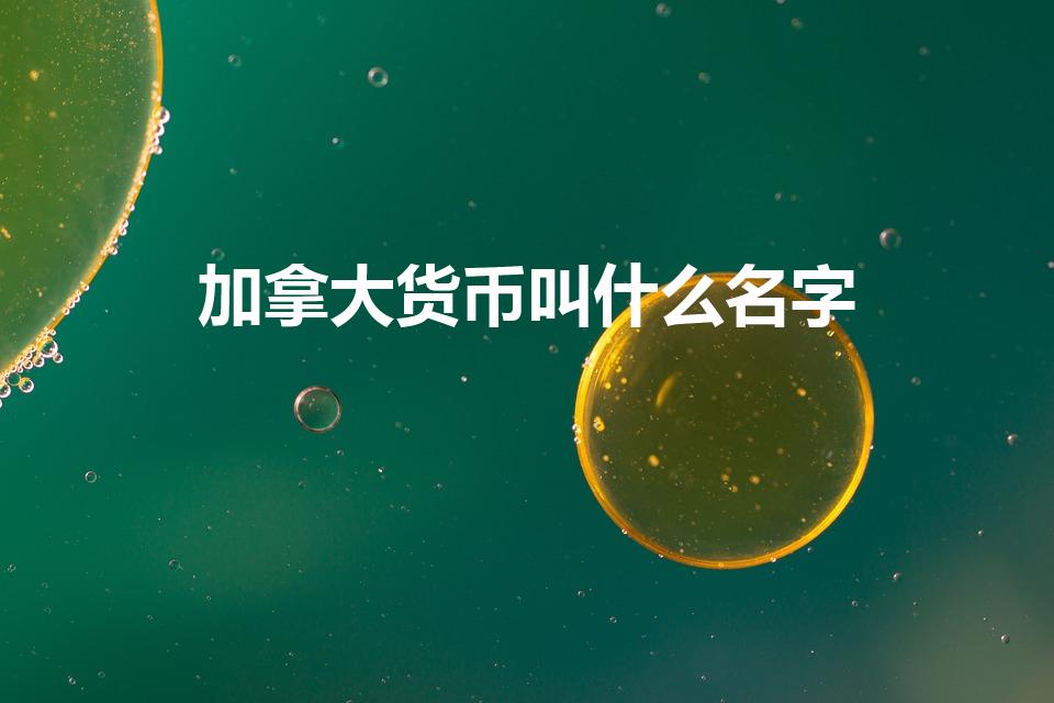 加拿大货币叫什么名字（加拿大的货币单位什么）