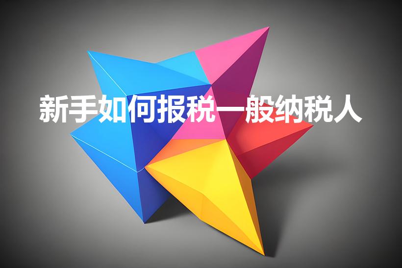新手如何报税一般纳税人（一般纳税人怎么报税步骤）