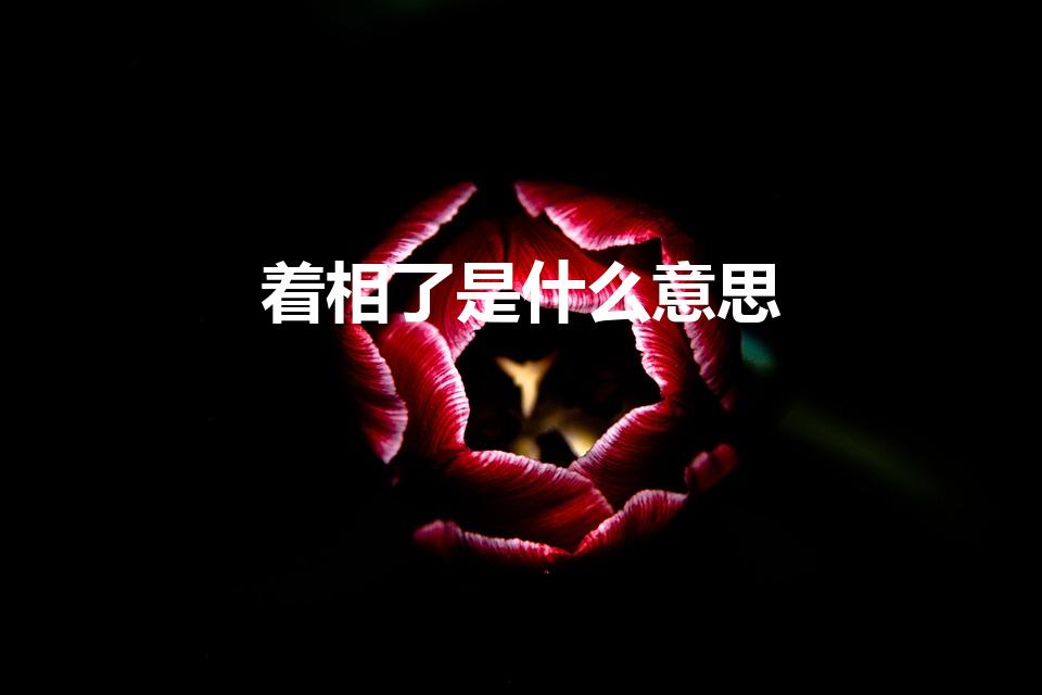 着相了是什么意思（着相了代表什么意思着相了是什么意思）