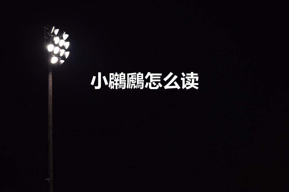 小鸊鷉怎么读（这是什么鸟啊,爪子怎么像鸭子的脚）