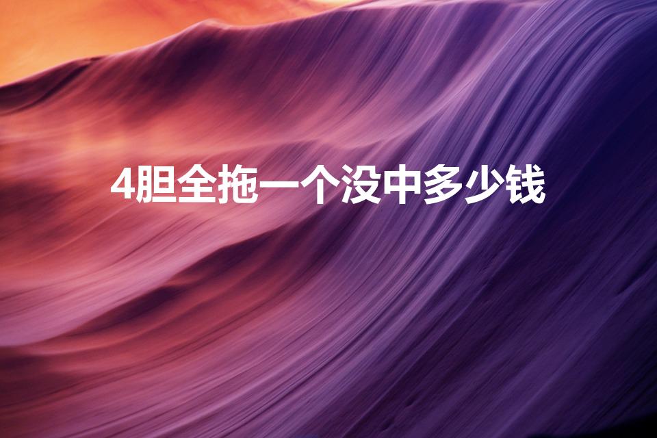 4胆全拖一个没中多少钱（双色球胆拖中奖规则）