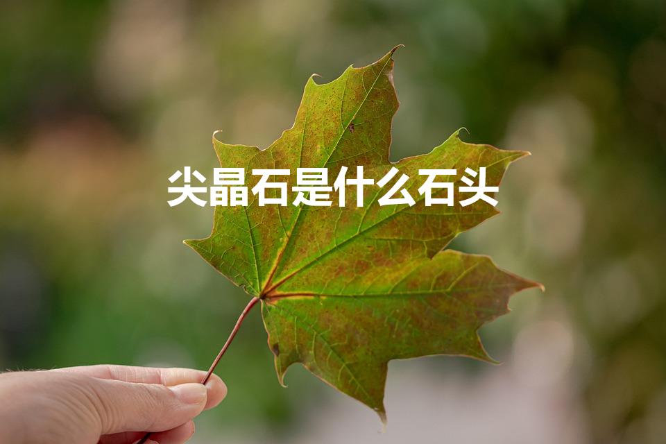 尖晶石是什么石头（尖晶石是什么宝石）