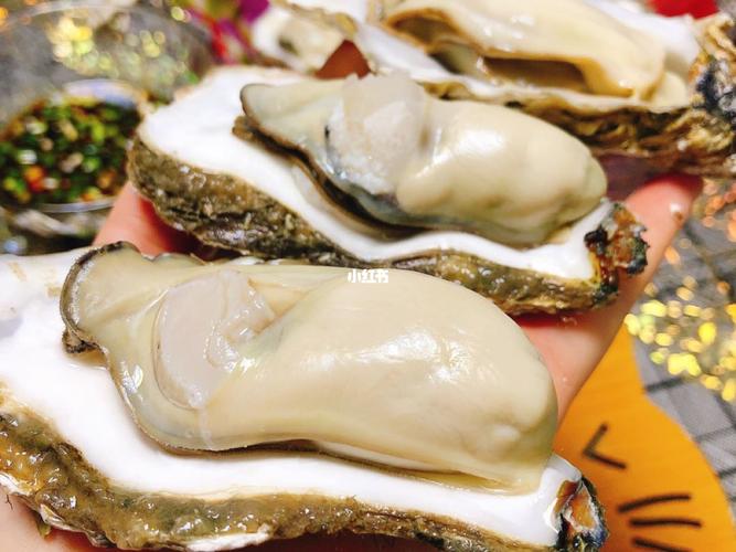生蚝哪个季节最肥美?生蚝的最佳采摘时间解析