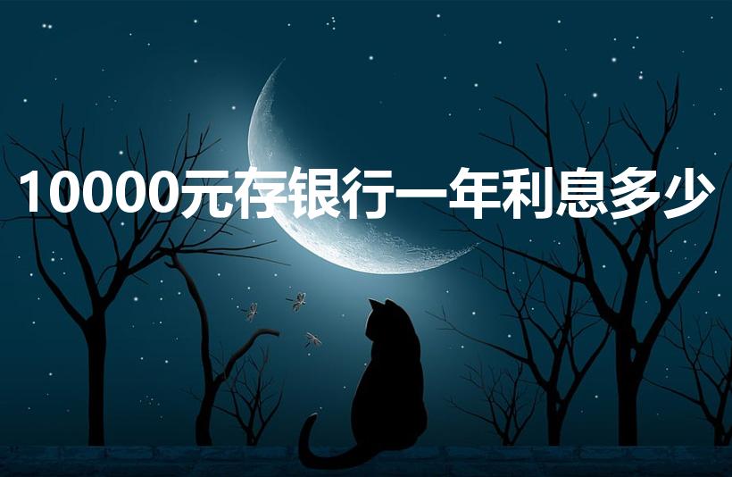 10000元存银行一年利息多少
