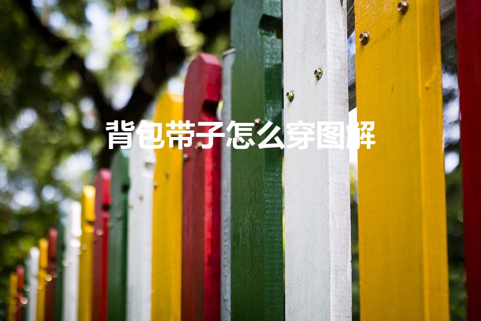 背包带子怎么穿图解（双肩背包的带子怎么装求图解）