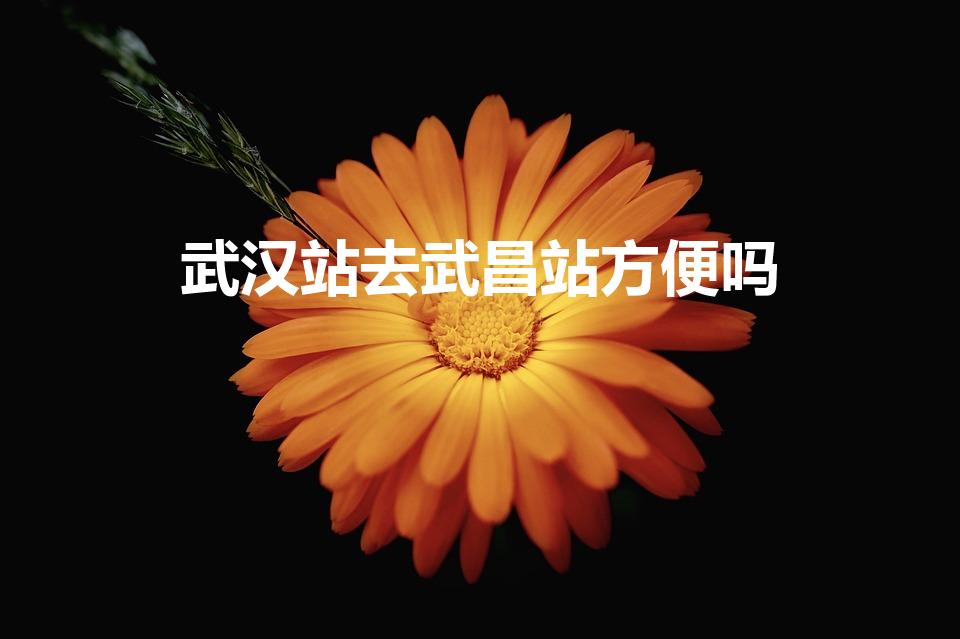 武汉站去武昌站方便吗（武汉站到武昌站有多远）