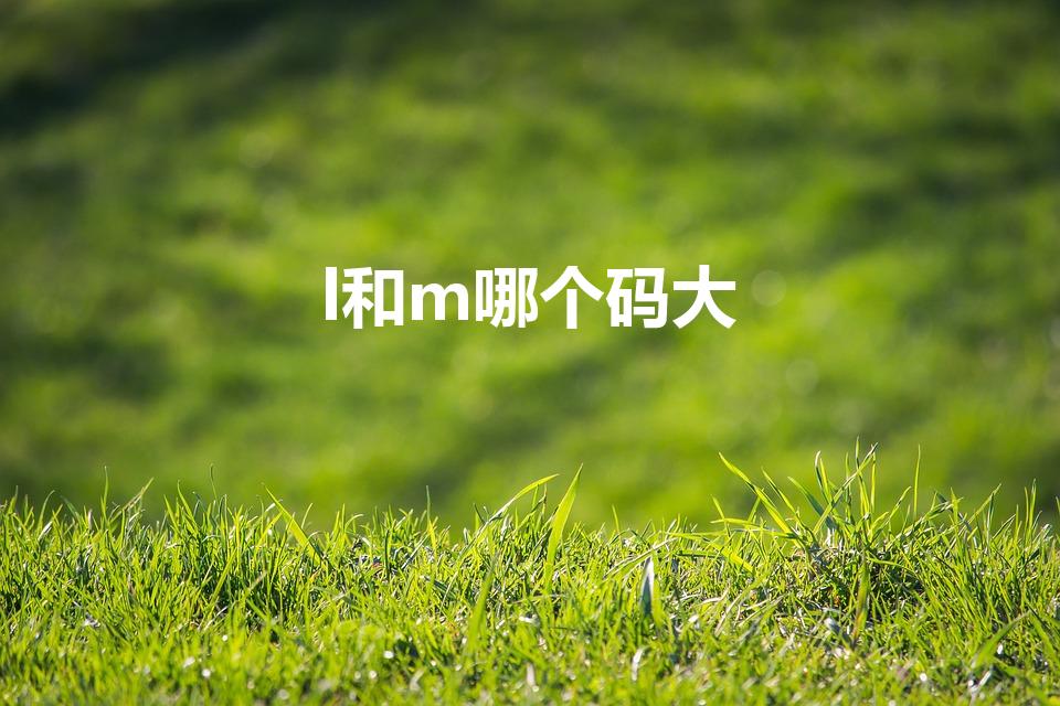 l和m哪个码大（买衣服l码和m码哪个大）