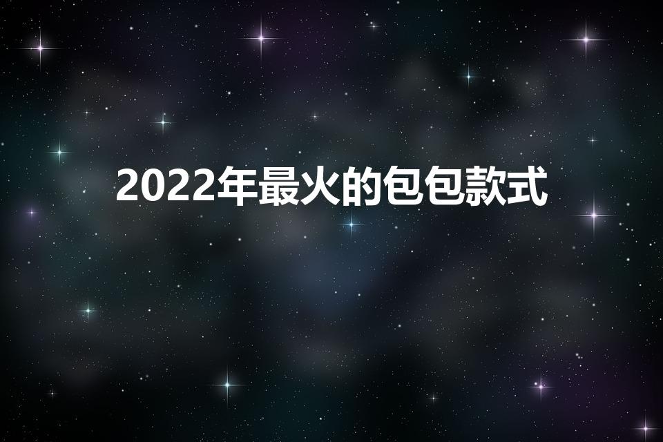 2022年最火的包包款式（2022年热门包包款式）