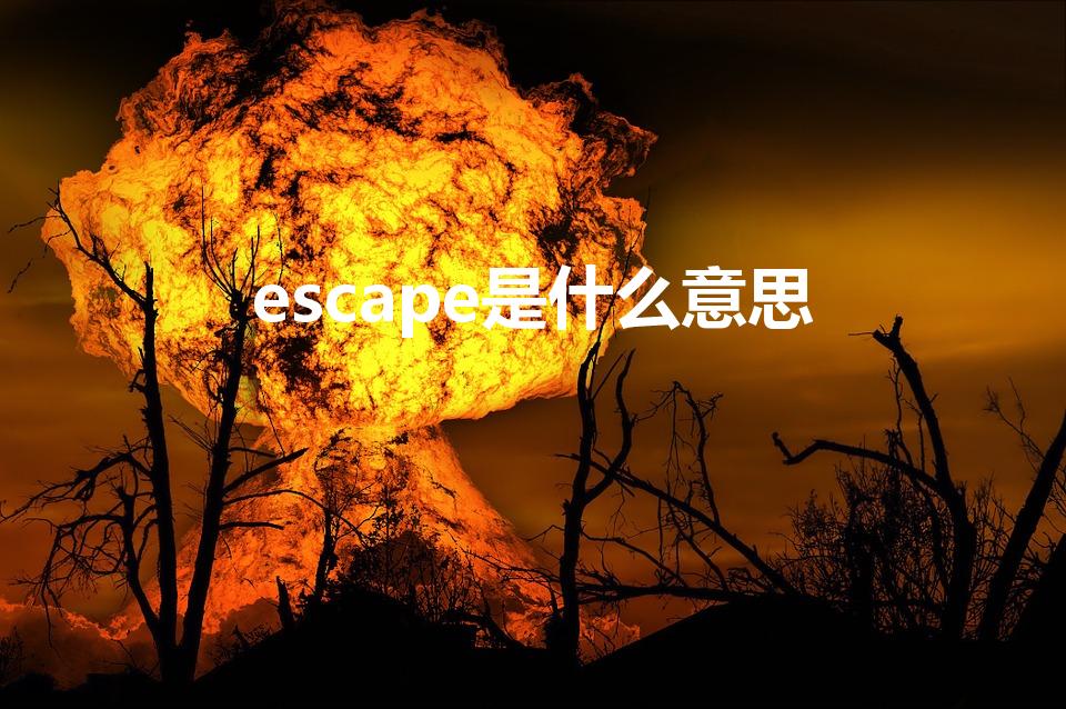 escape是什么意思（escape是什么意思中文）