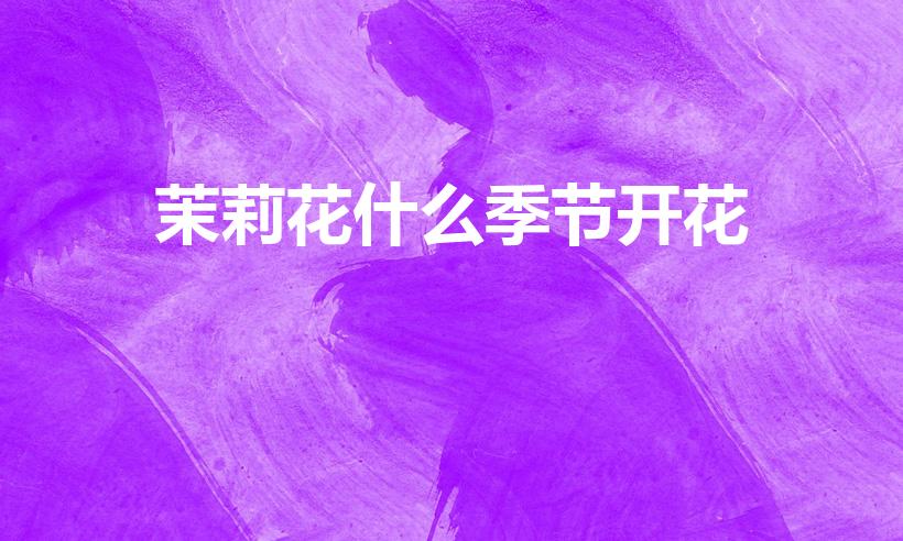 茉莉花什么季节开花（茉莉花是什么季节开）