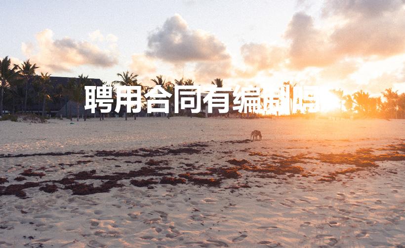 聘用合同有编制吗（合同聘用制有编制吗）