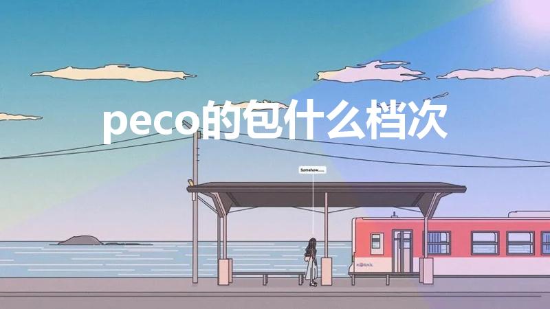 peco的包什么档次（peco是什么牌子）