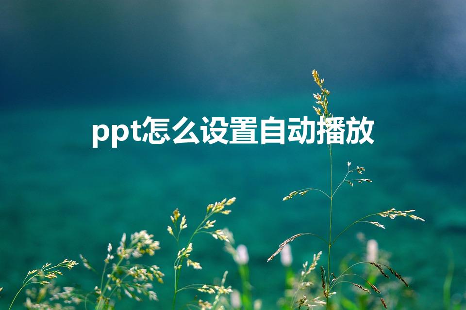 ppt怎么设置自动播放（如何让PPT幻灯片自动播放）