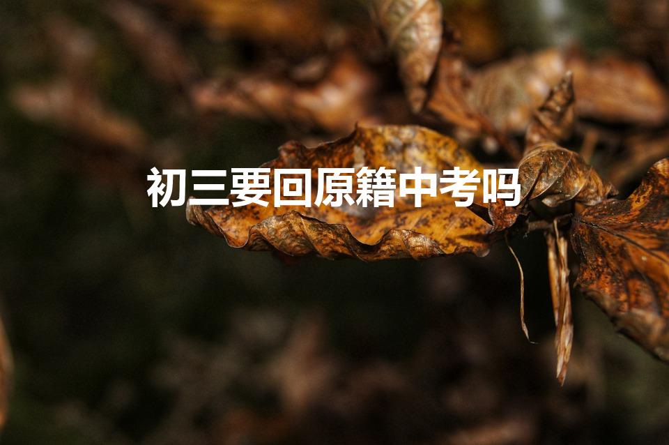 初三要回原籍中考吗（中考回户籍所在地初二转还是初三转）