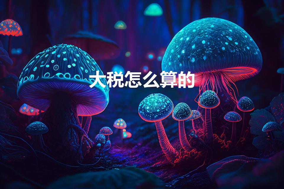 大税怎么算的（房子大税是怎么算的）