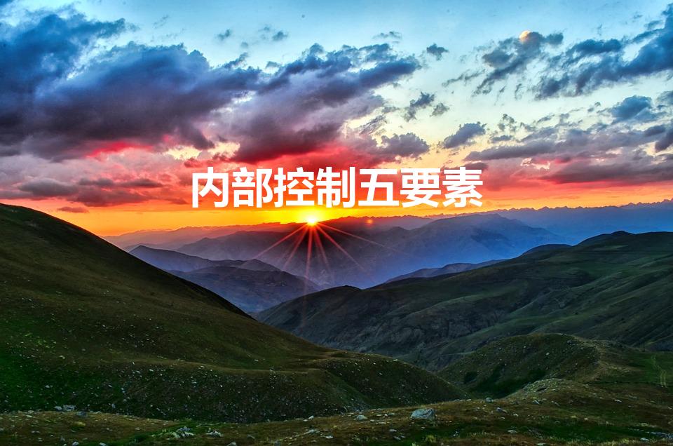 内部控制五要素（内部控制的要素包括哪些）