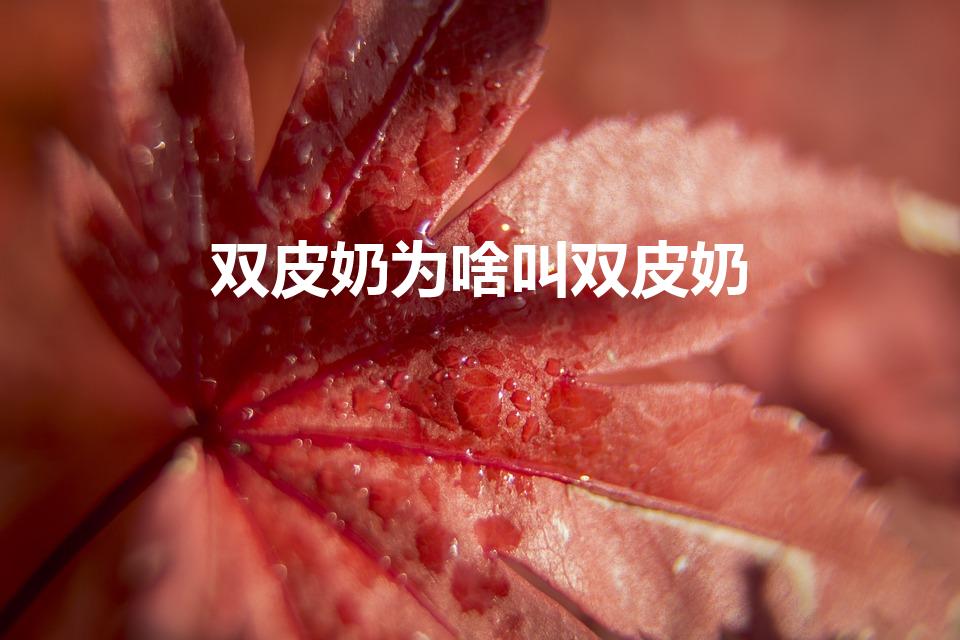 双皮奶为啥叫双皮奶（双皮奶为什么叫双皮奶）