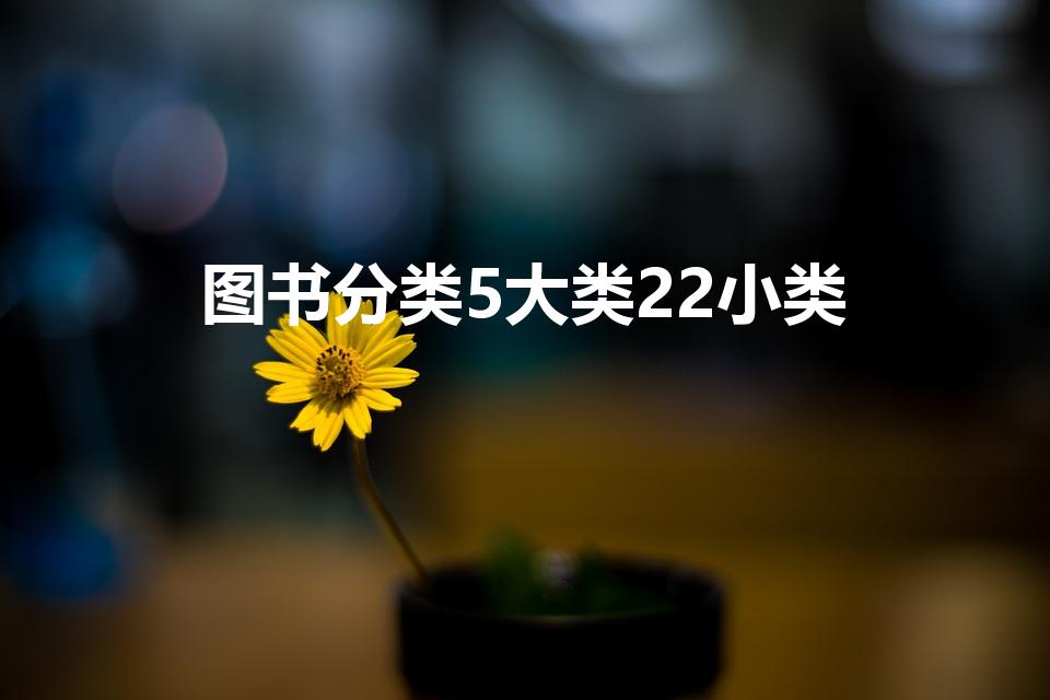图书分类5大类22小类（图书分类5大类22小类是什么）
