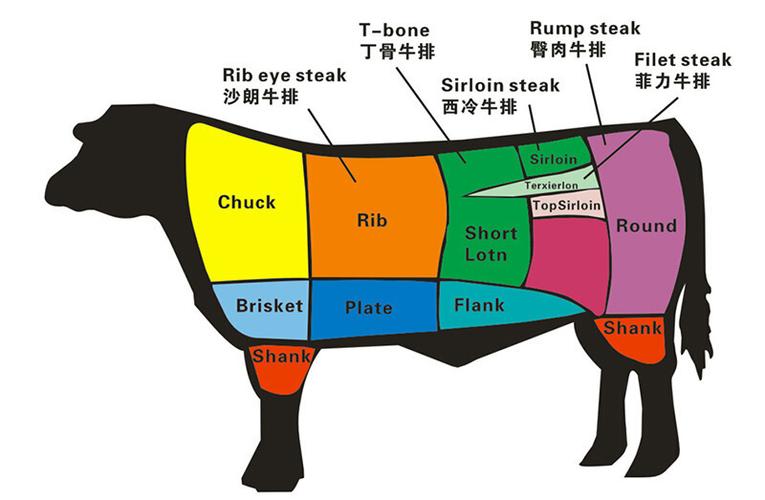 牛排是哪个部位的肉（牛排部位解析）