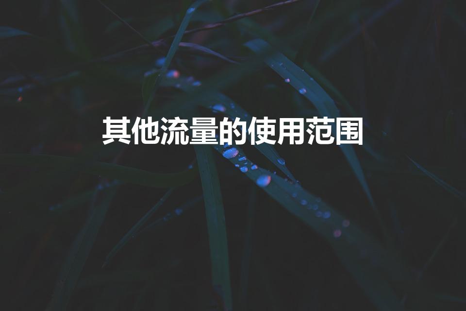 其他流量的使用范围（中国移动其他流量怎么用）