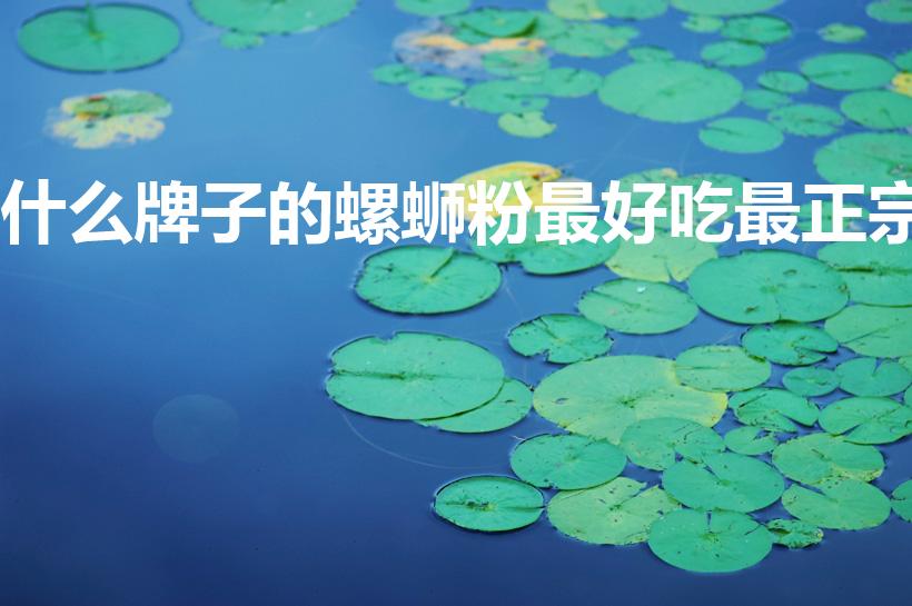 什么牌子的螺蛳粉最好吃最正宗（螺蛳粉10大品牌排行榜）