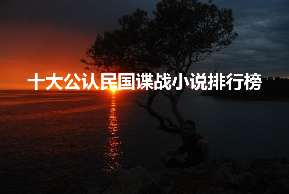 十大公认民国谍战小说排行榜（谍战特工小说排行榜）