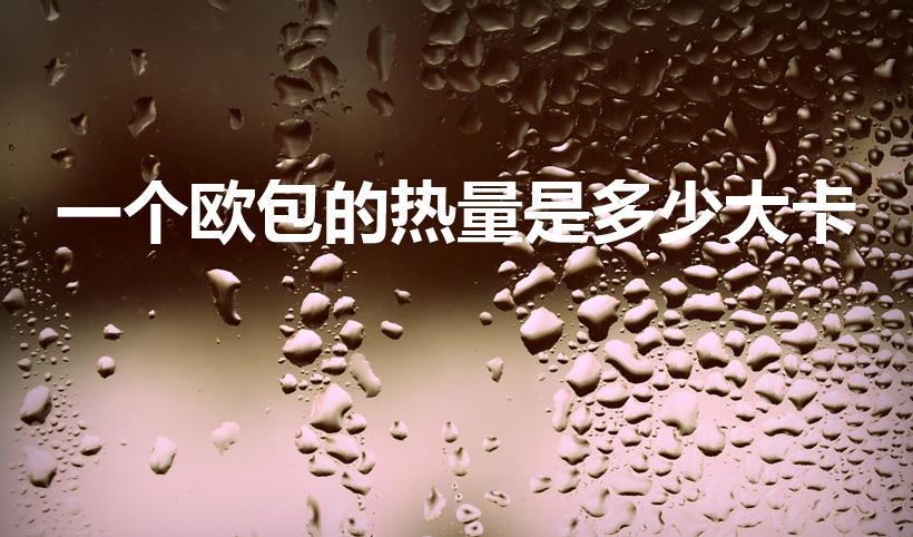 一个欧包的热量是多少大卡（一个全麦欧包的热量是多少）