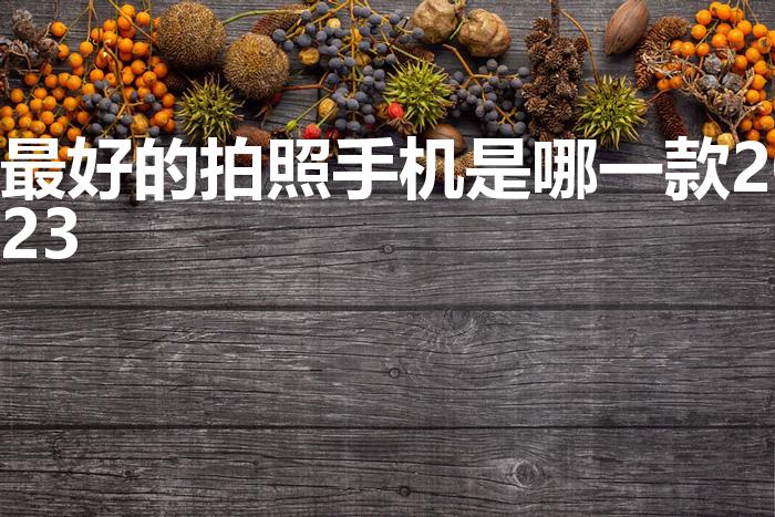 最好的拍照手机是哪一款2023（2023年拍照手机推荐）