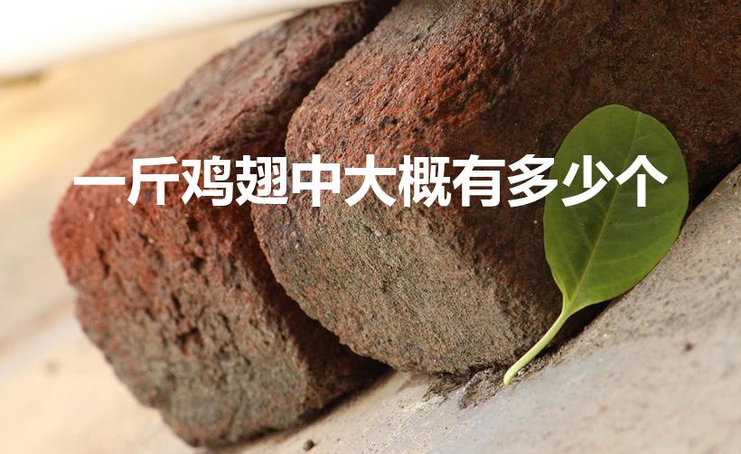 一斤鸡翅中大概有多少个（一斤翅中有多少个）