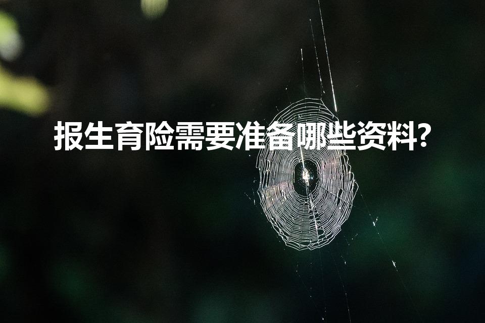 报生育险需要准备哪些资料?（报生育险需要准备哪些资料）