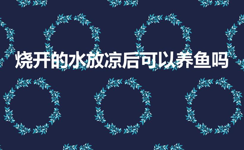 烧开的水放凉后可以养鱼吗（我把水烧开了放凉了养鱼好么）