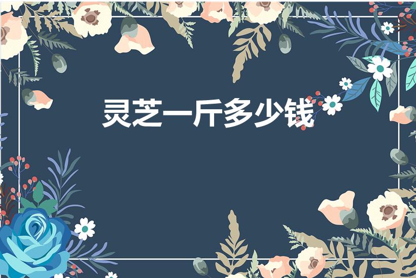 灵芝一斤多少钱（灵芝片多少钱一斤）