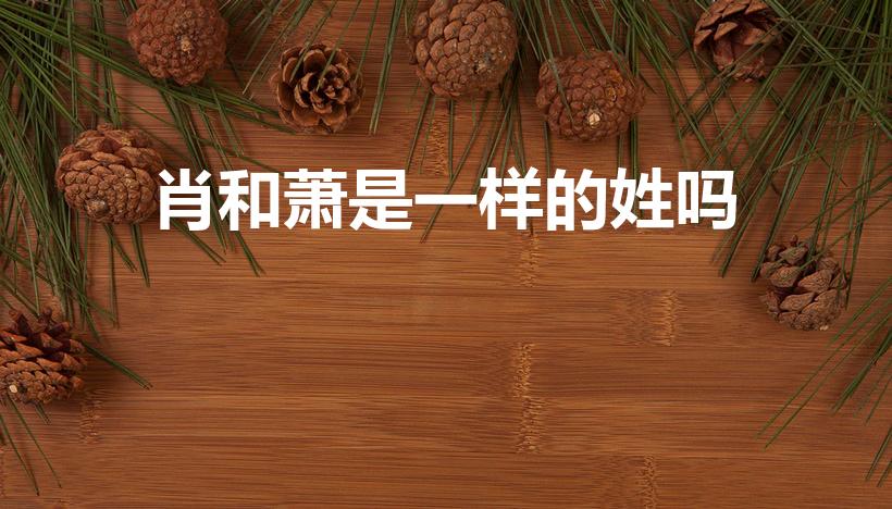 肖和萧是一样的姓吗（姓氏:萧和肖有什么区别）