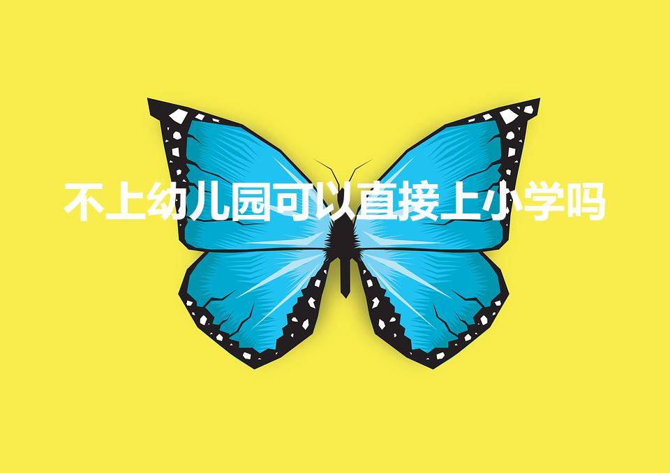不上幼儿园可以直接上小学吗（不读幼儿园可以直接读小学吗）