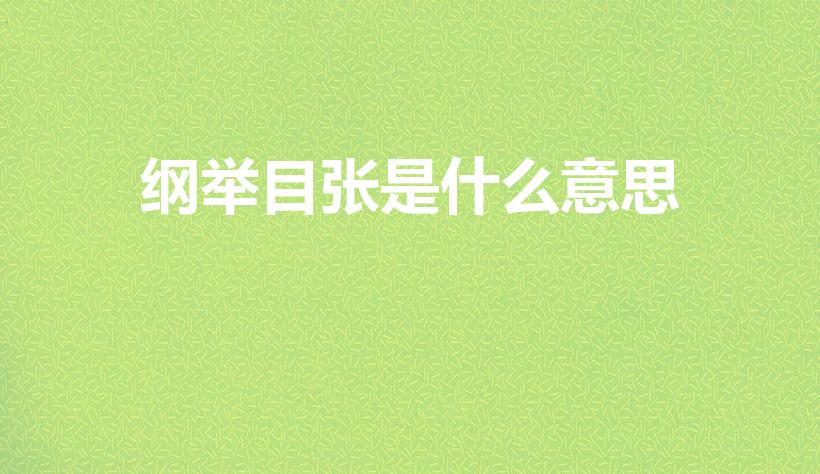 纲举目张是什么意思（纲举目张的意思）