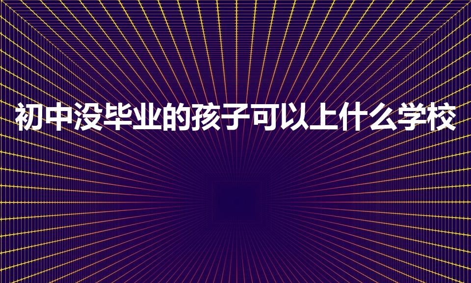 初中没毕业的孩子可以上什么学校（初中没毕业能上什么学校）