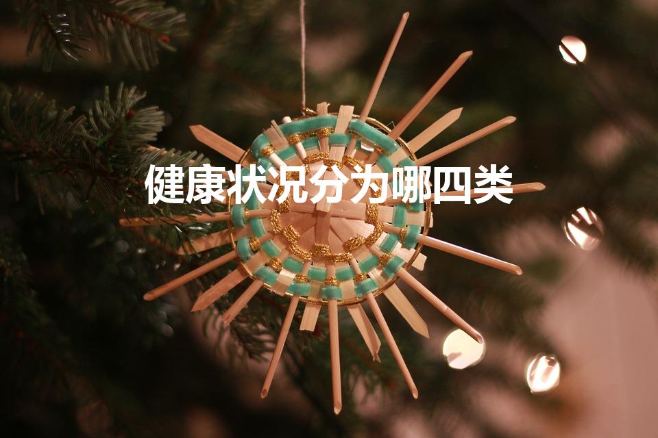 健康状况分为哪四类（健康的概念是指哪种状态）