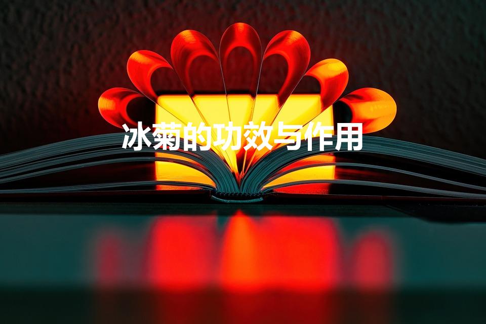 冰菊的功效与作用