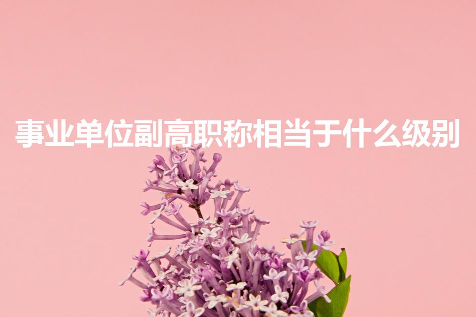 事业单位副高职称相当于什么级别（副高级职称相当于）