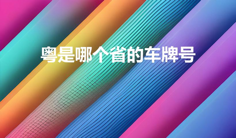 粤是哪个省的车牌号(粤是哪里的车牌呢)