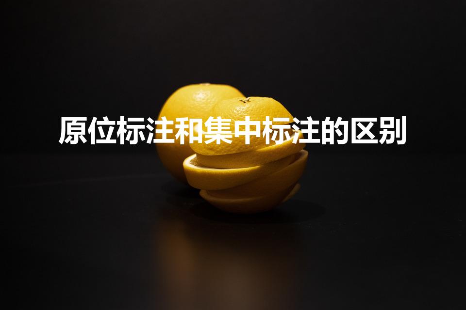 原位标注和集中标注的区别（集中标注和原位标注的区别）