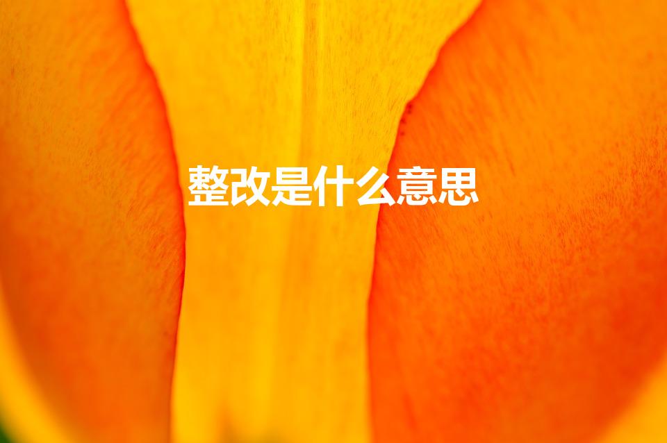 整改是什么意思（整治,整顿,整改,分别有什么区别）