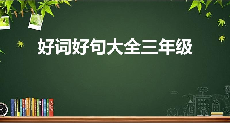 好词好句大全三年级（三年级的好词好句）