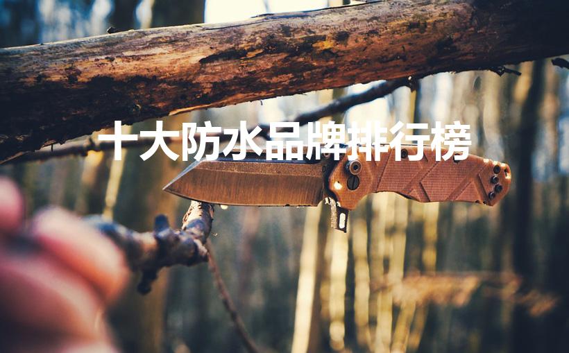 十大防水品牌排行榜（防水十大品牌有哪些）