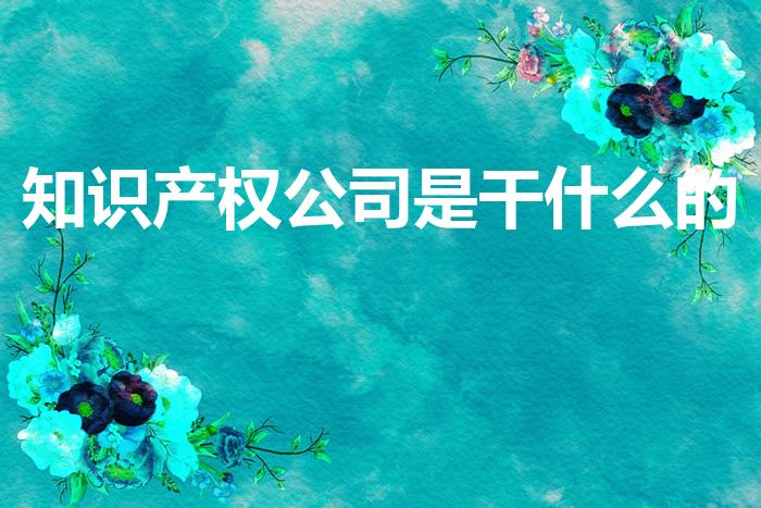 知识产权公司是干什么的（知识产权代理公司是干什么的）
