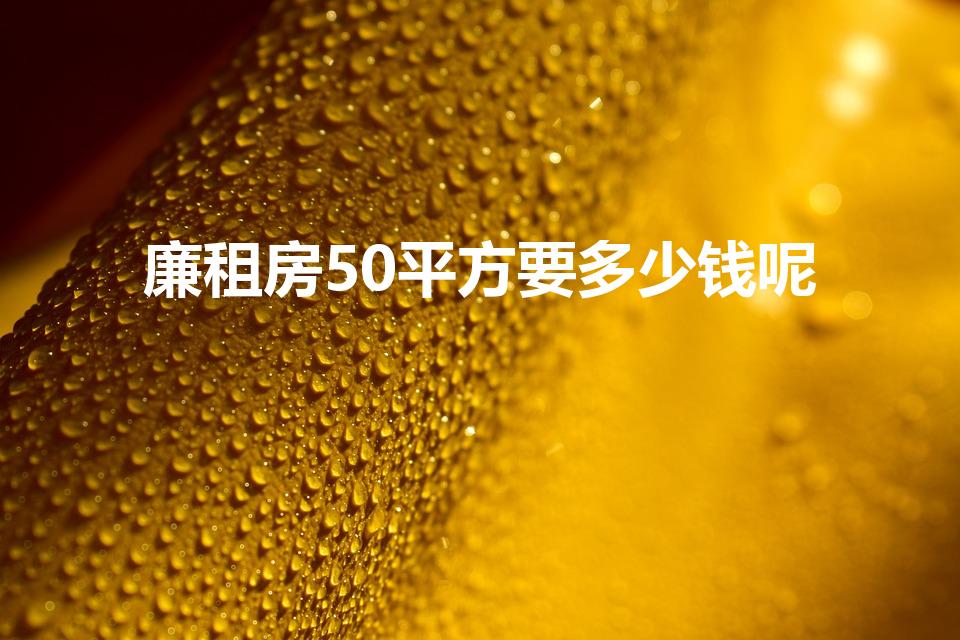 廉租房50平方要多少钱呢（廉租房一个月要交多少钱）