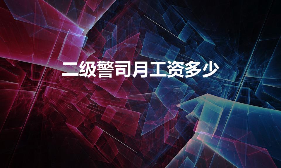 二级警司月工资多少（警察的收入有多少啊）